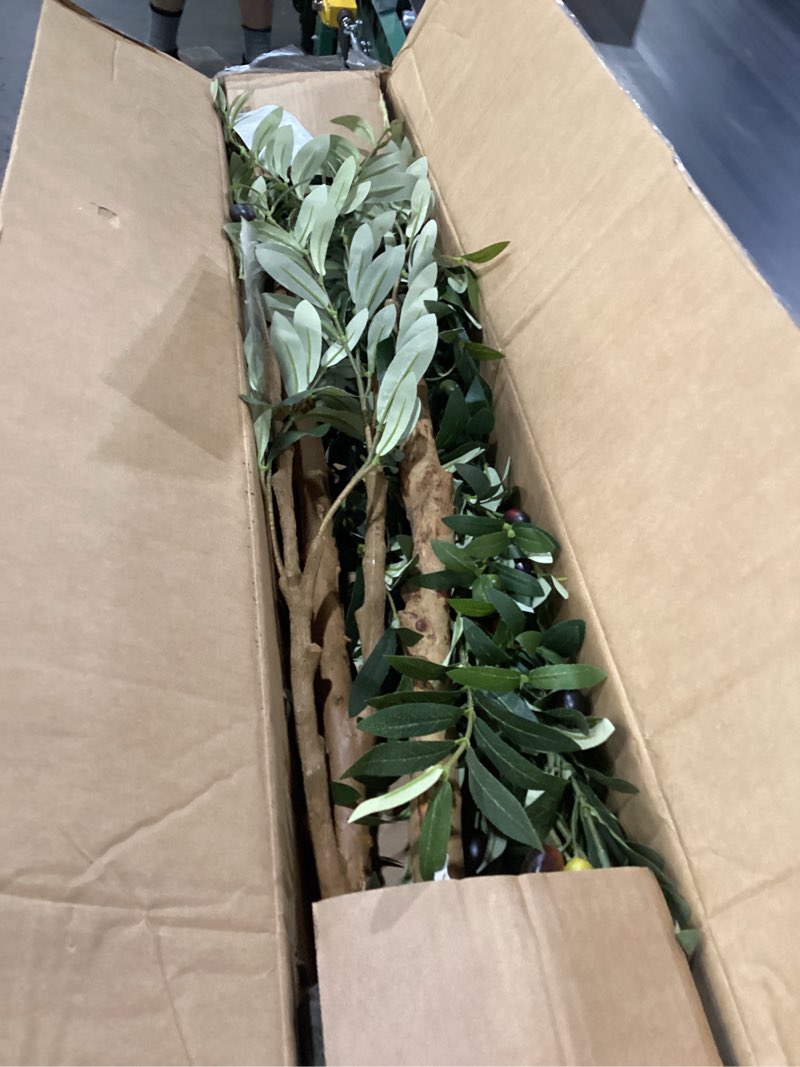 Condition photo showing New/Like New for bellacat faux olive tree 7ft?olive trees artificial indoor with natural wood trunk and realistic leaves and fruits. 7 feet(84in) fake olive tree for home house office décor. 1 7ft