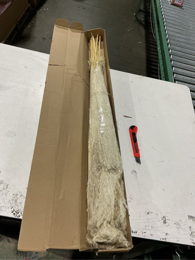 Condition photo showing New/Like New for 40-inch 20 stems tall pampas grass decor. tall pampas dried flower decor. large pampas boho home decor bouquet, fluffy pampas grass, for living room, wedding, party,home decor