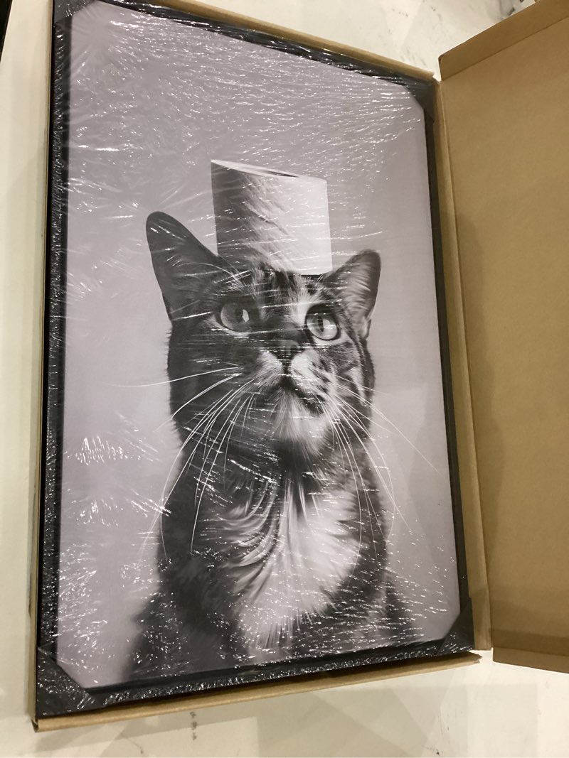 Floating Framed Black and White Bathroom Wall Decor - Cat with Toilet Paper on Head Canvas Wall Art,