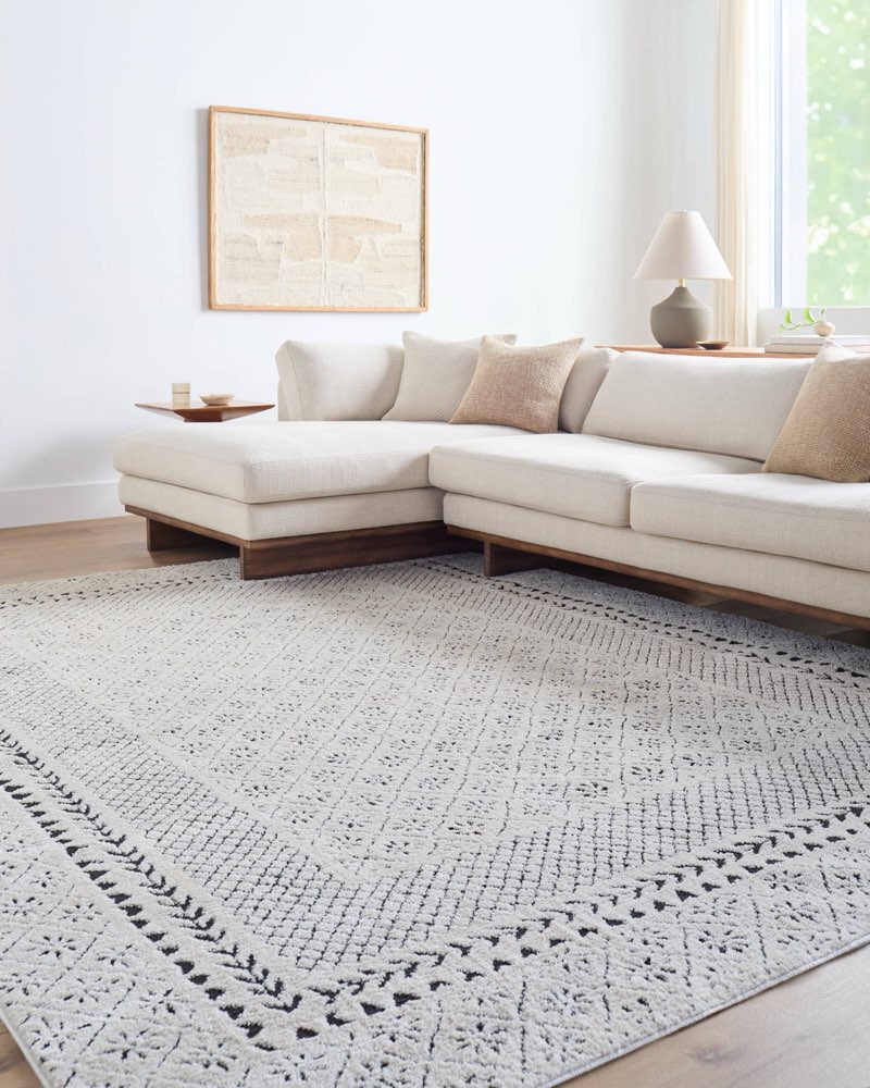 Style selection 7ft 10 in x 10 ft lost stone area rug