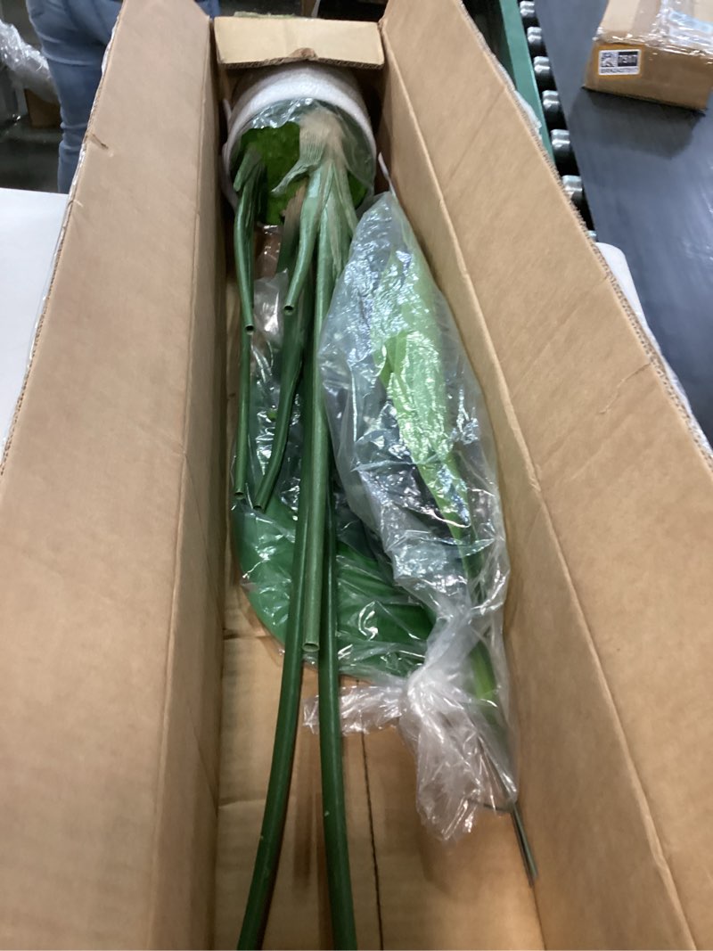 Condition photo showing Good Condition for 2Packs 5FT Artificial Bird of Paradise Plant,Faux Palm Tree Potted Plant with Real Touch Leaves,Fake Trees for Home Living Room Office Indoor Outdoor Decor(5 FT-2Packs) 5FT-2Packs Bird of Paradise