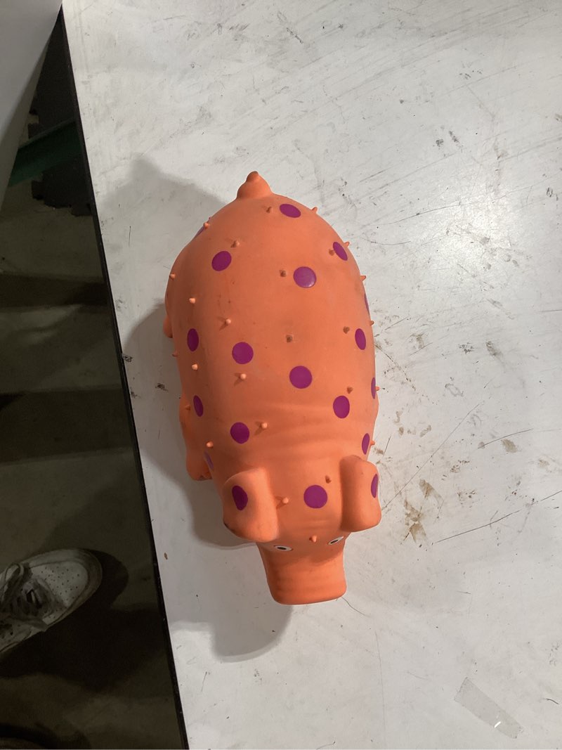 Condition photo showing Good Condition for multipet globlets assorted latex polka dot pig dog toy large 1 pk