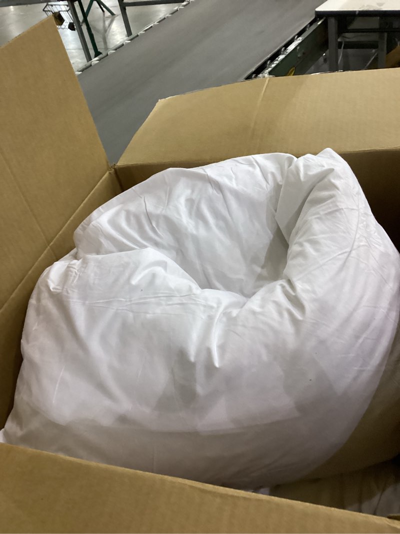 Pillow- 2 pack