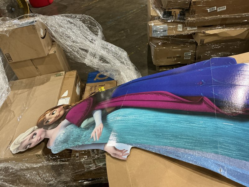Condition photo showing As Is for cardboard people elsa & anna life size cardboard cutout standup - disney's frozen (2013 film)