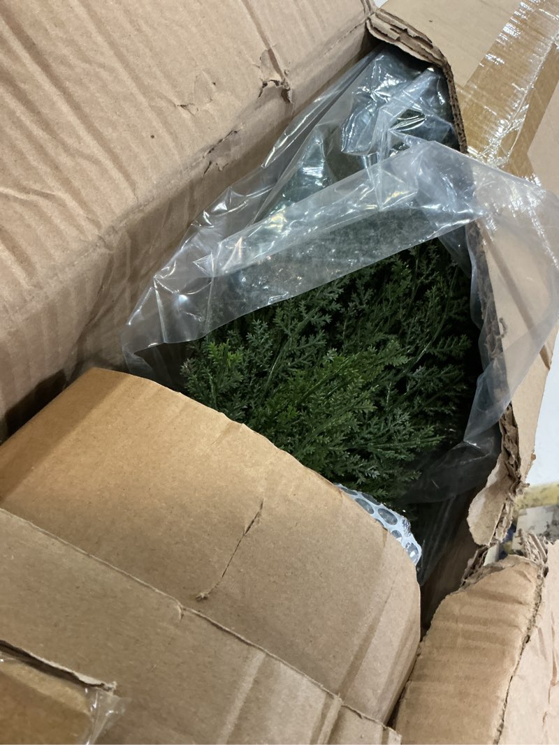 Condition photo showing Good Condition for 4 feet outdoor artificial topiary cedar tree, set of 2 uv resistant potted faux cedar trees for outdoors and indoors, decorative fake shrubs topiary trees for home living room front door decor 4 feet green