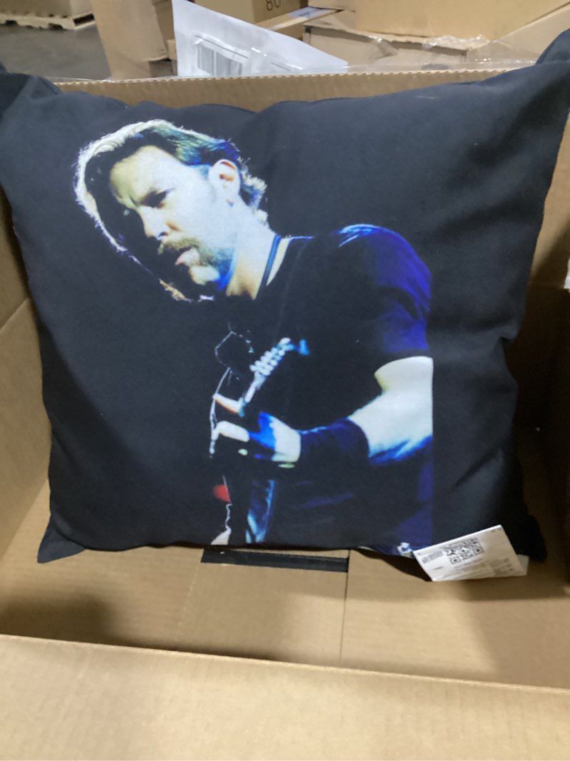 Condition photo showing Good Condition for metallica james hetfield by andy willsher throw pillow 16x16