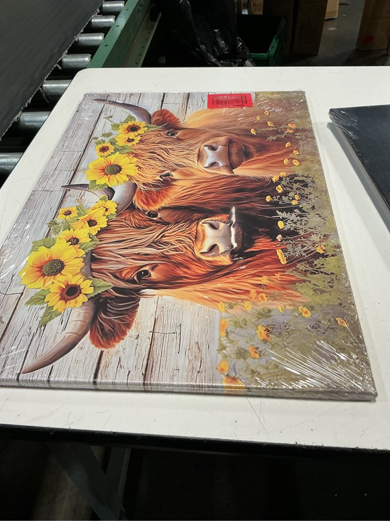 Condition photo showing New/Like New for highland cow canvas wall art farmhouse animal painting sunflower on cow head picture wood background poster artwork for bathroom home office decor framed - 16.00"x24.00" 24"l x 16"w a-two cow & sunflower