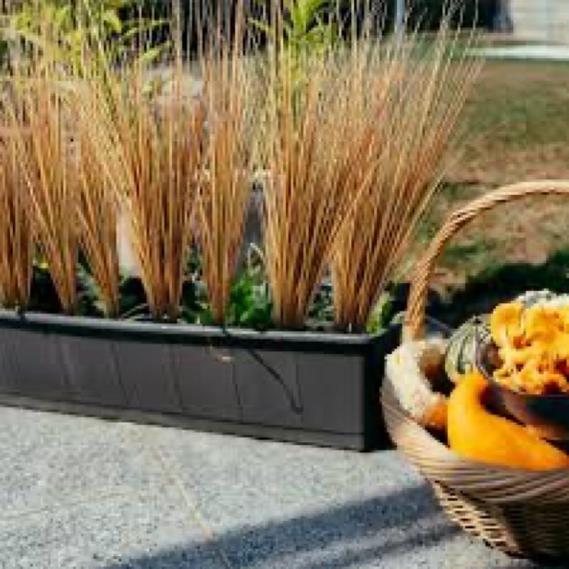 similar Giegxin 100 Pcs Fall Artificial Tall Onion Grass Plants Outdoor UV Resistant Artificial Tall Grass G
