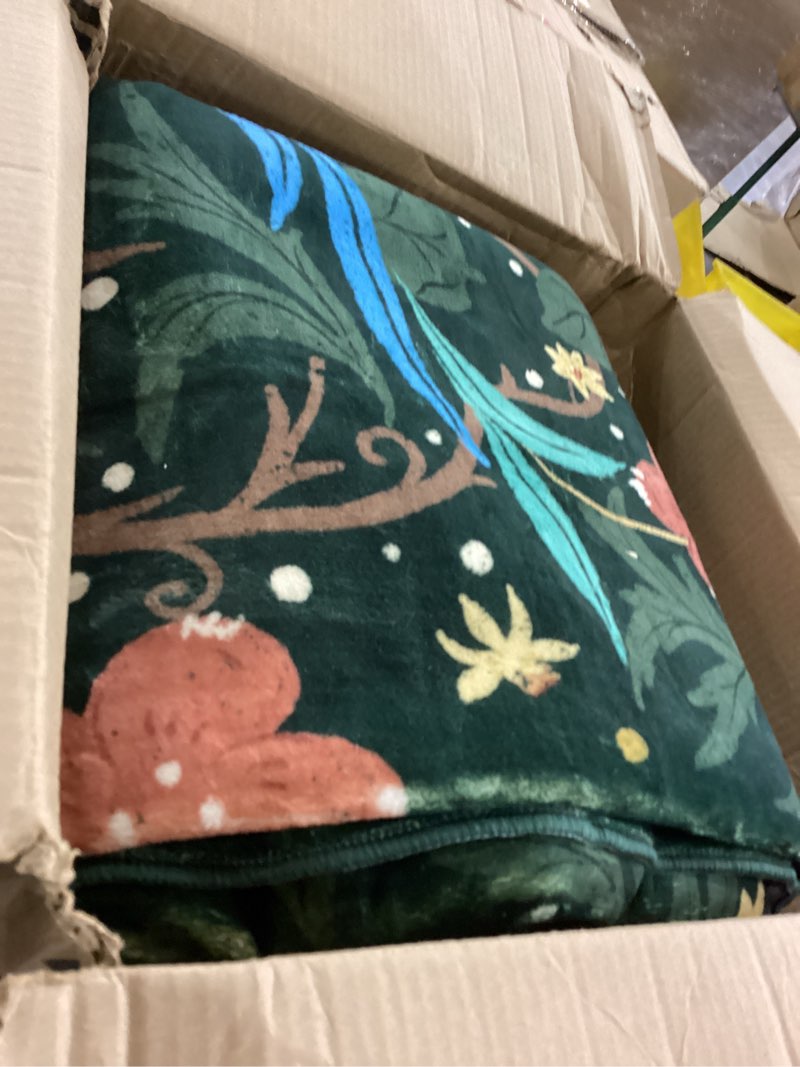 Condition photo showing As Is for Big green rug with flowers