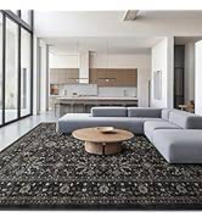 Ruaruarug Area Rug Non Slip Machine Washable Ultra Soft Living Room/Bedroom/Kitchen/Outdoor/Classroo