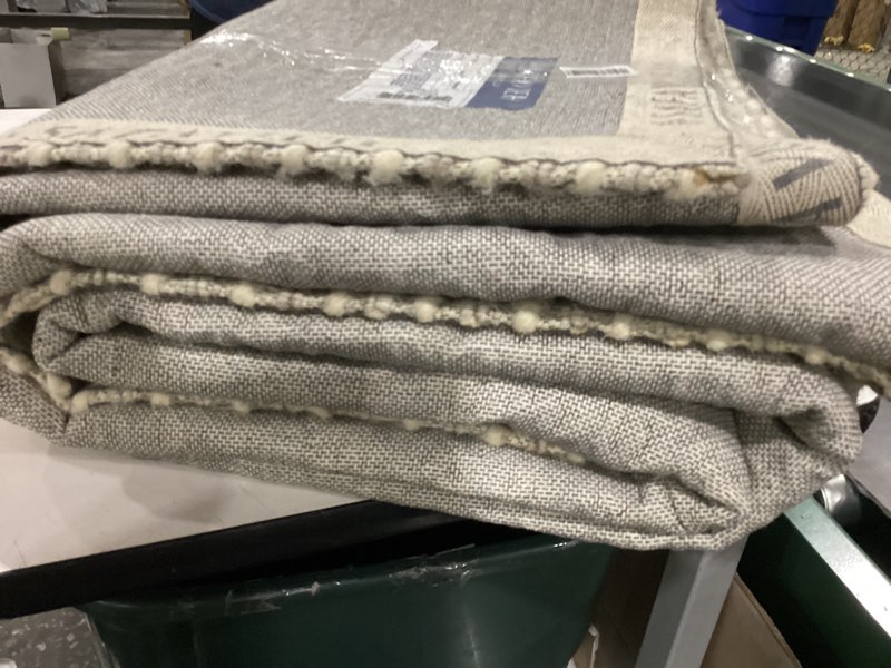 Condition photo showing Good Condition for Addison Rugs Chantille ACN1052 Ivory 9' x 12' Indoor Outdoor Area Rug, Easy Clean, Machine Washable,
