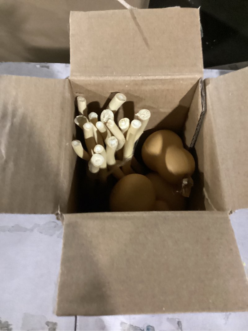 Condition photo showing Good Condition for Dried Curly Willow Branches, 14-15 Stems Dried Twigs Sticks 21-23” Natural Dried Plants Decorative Branches for Rustic Home Decor, Beige