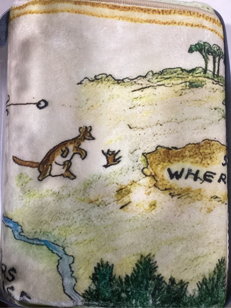 Condition photo showing Good Condition for Estmy 3x5 Vintage Woodland Area Rug, Cute Fun Nursery Rugs for Girls Boys Neutral, Thin Pile Faux Wool Soft Stain Resistant Hundred Acre Wood Map Rug, Cartoon Retro Kids Play Rug Infant Playmat 3'x5' Green