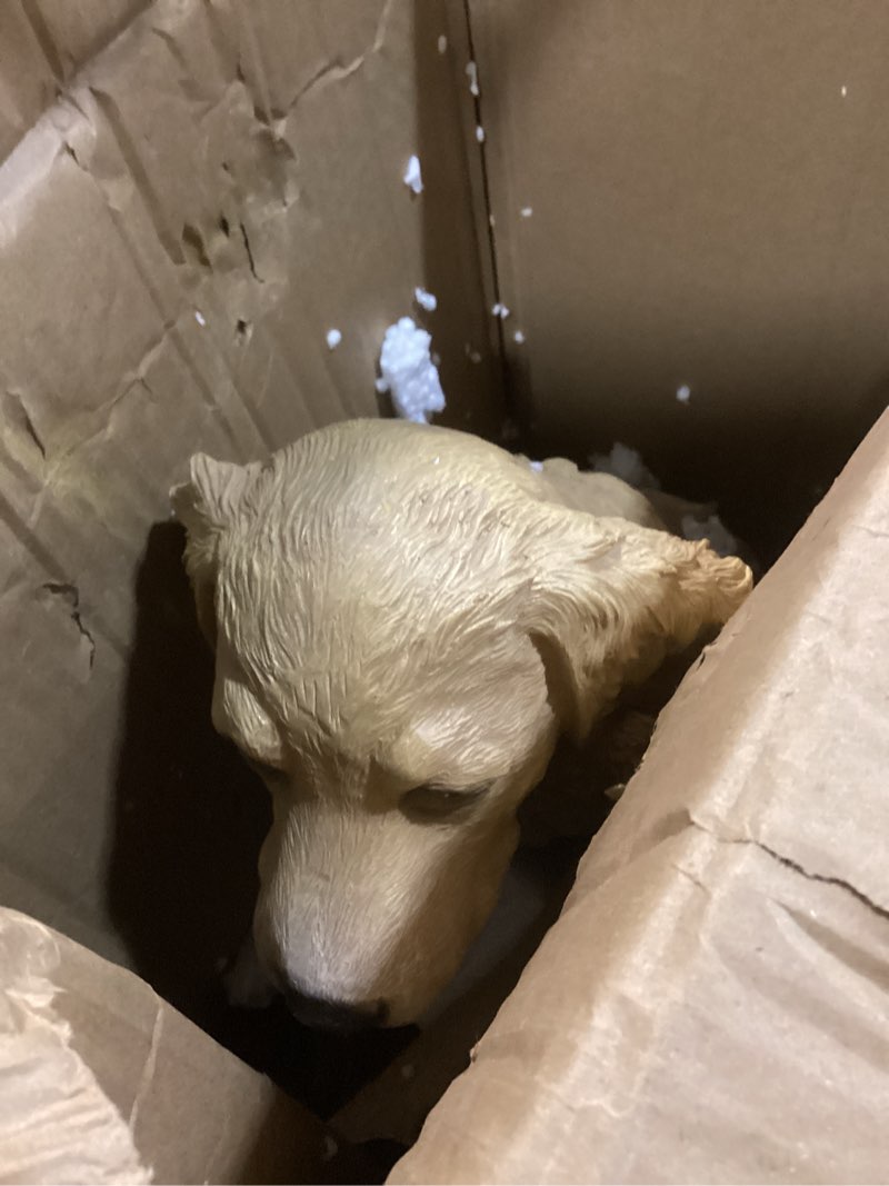 Condition photo showing Good Condition for cynkeyee garden decor dog statues outdoor - golden retriever puppy statue with solar, outdoor figurine lights for garden patio yard accent solar decorations for outside 13.5x7.5x15.5 inch light 15.5 in