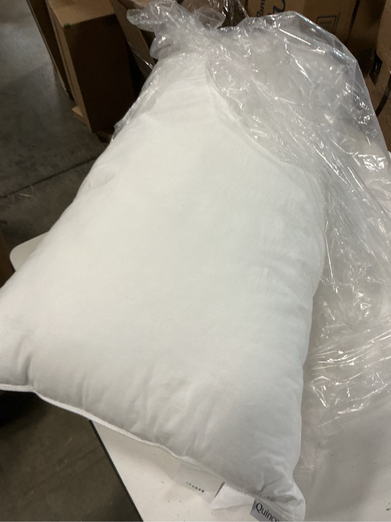 Condition photo showing As Is for premium down pillow