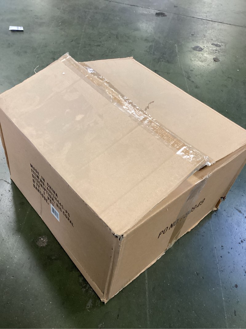 Condition photo showing New/Like New for Ra Montipora Coral - Purple Rim