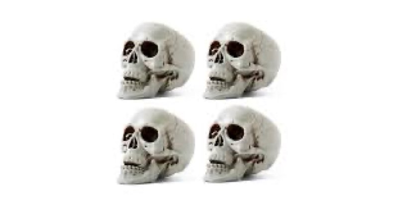 Sratte 4 Pcs Halloween Human Skull Model Adult Plastic Skull Decor Fake Head Decorations Realistic H