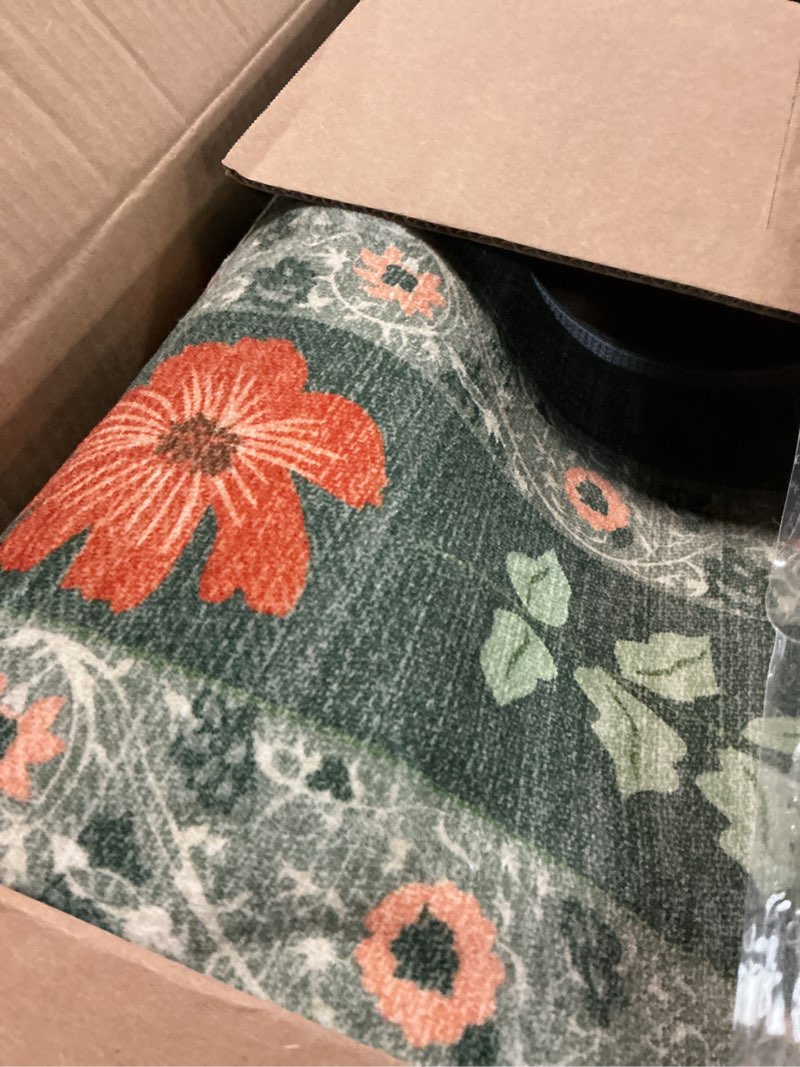 Condition photo showing Good Condition for Deerly Green Boho Floral Rug 6x9 Vintage Boho Washable Non-Slip Living Room Carpet Soft Low Pile Thin Bedroom Floor Mat Indoor for Dining Room Playroom Nursery Farmhouse, Green/Multi Green & Multi 6' x 9' (Rectangular)