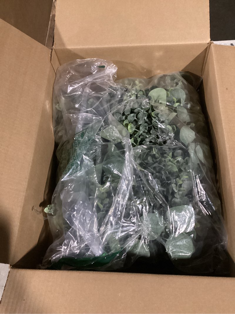 Condition photo showing item condition for Giegxin 270 Pcs 3 Kinds Mixed Eucalyptus Leaves Stems Bulk Artificial Silver Dollar Leaves Picks Dried Eucalyptus Bundle Faux Spray for Wedding Vase Bouquet Floral Arrangement (Green) Green 270