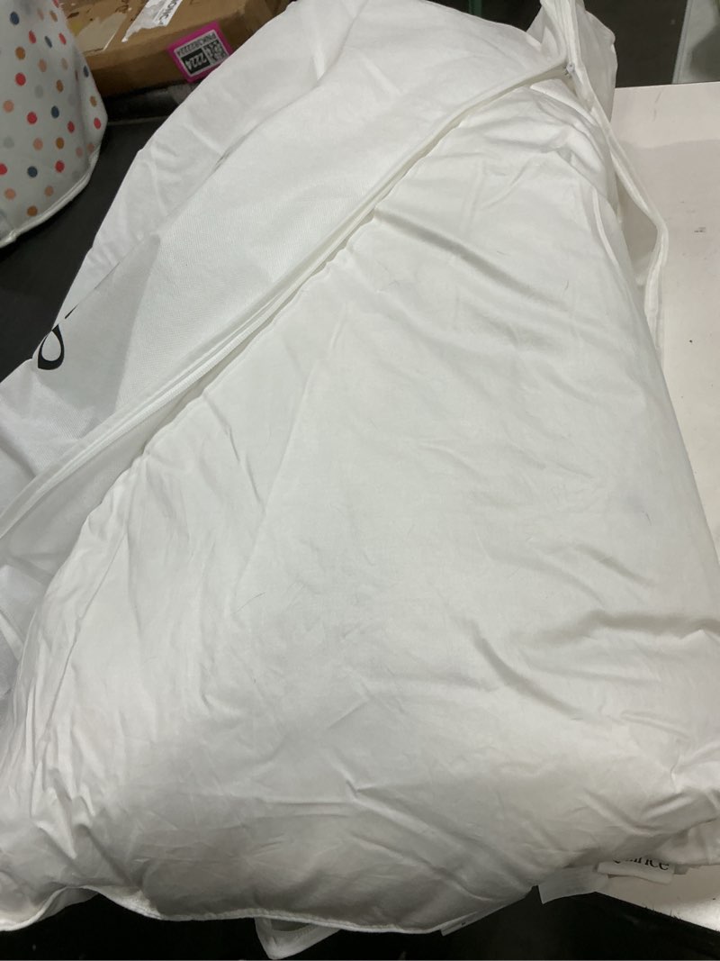 Condition photo showing As Is for quince luxe goose down pillow king 