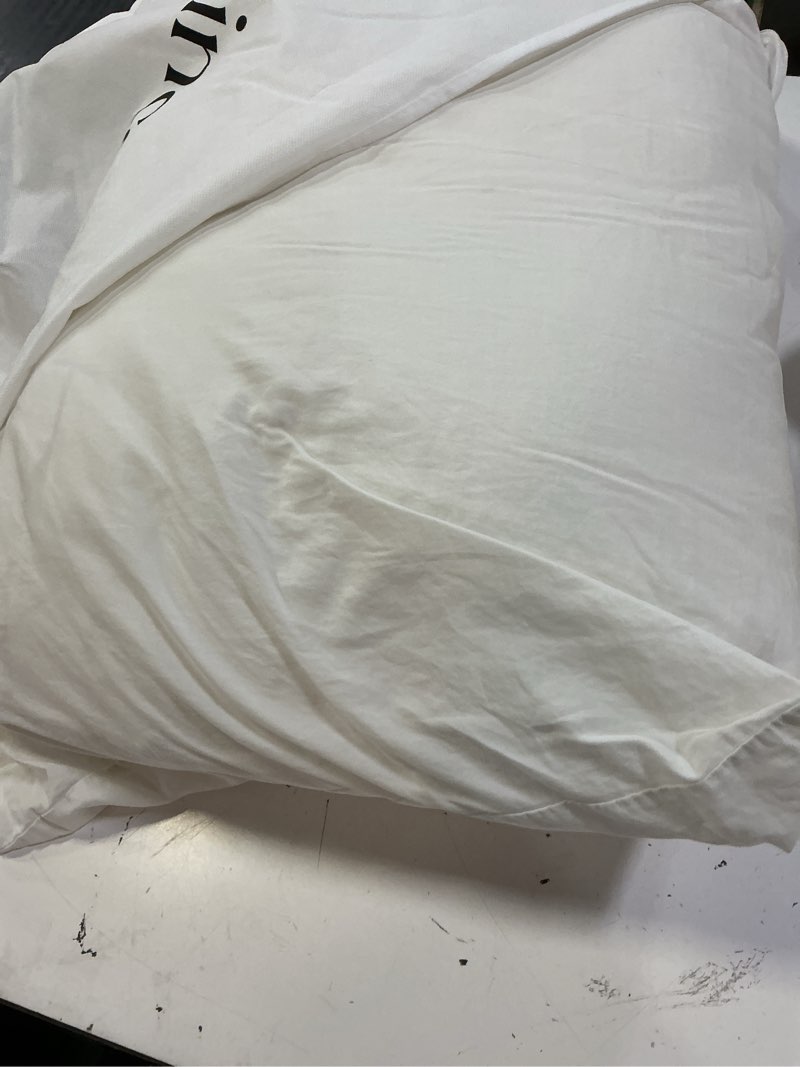 Condition photo showing As Is for luxe goose down pillow, standard, medium