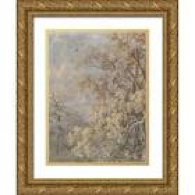forest fresco II 40 x28 