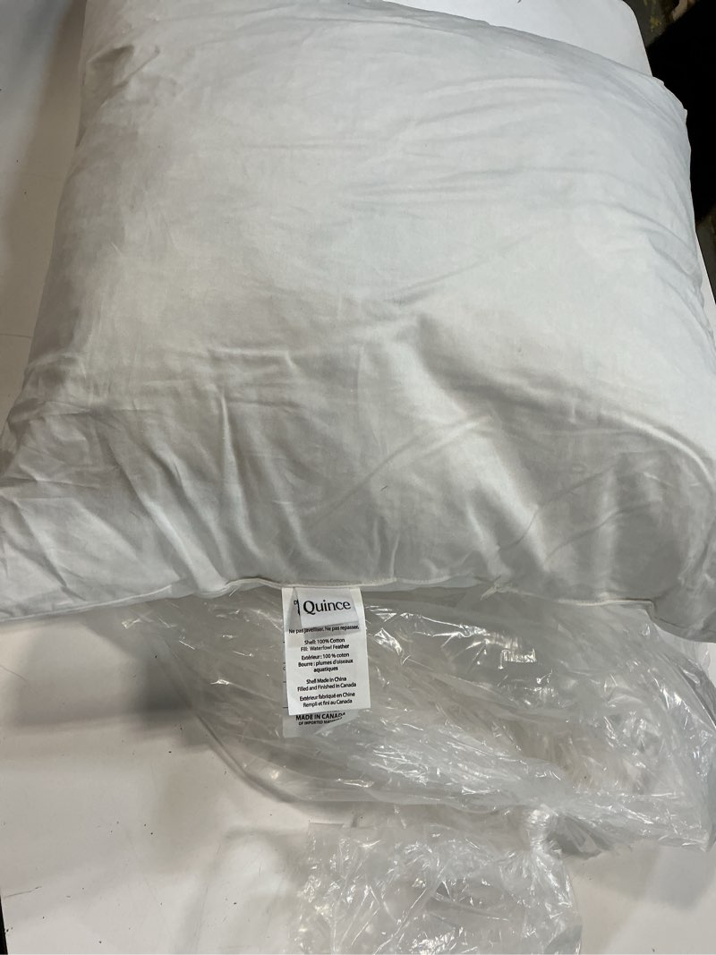 Condition photo showing As Is for premium feather pillow insert, 22x22, no color