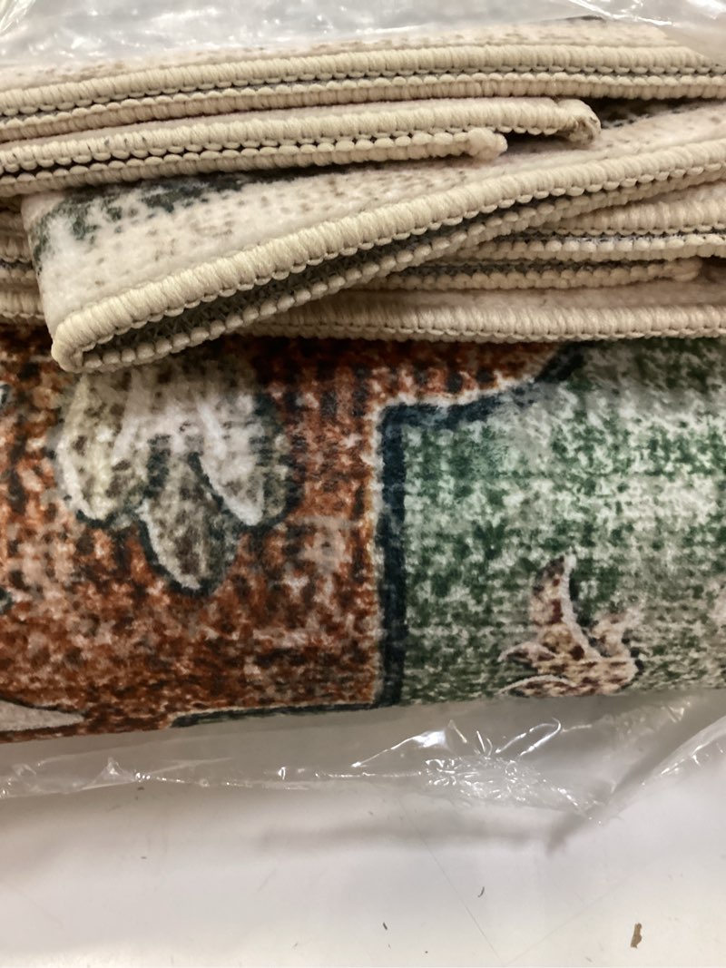 Condition photo showing Good Condition for releany area rugs 6'x8' washable non-slip, floral vintage distress print pattern medallion carpet for living room bedroom dining room, brick red rust neutral brown burnt orange green brick/brown/green 6' x 8' (rectangular)