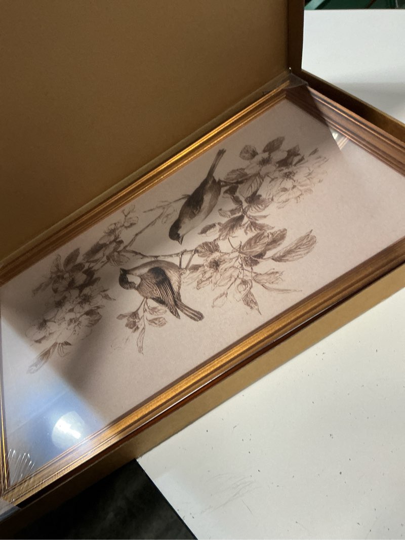 Condition photo showing New/Like New for vintage bird and floral gold framed canvas wall art 16x24 inch vintage bird framed 24"l x 16"w