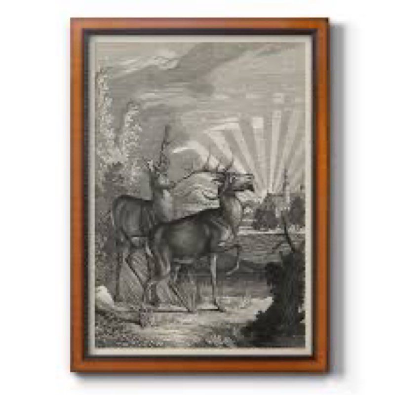 Woodland Deer | Premium Framed Canvas- Ready To Hang 24x33”
