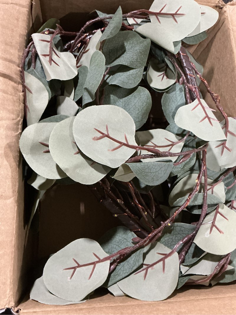 Condition photo showing Good Condition for Hairui Lighted Artificial Eucalyptus Garland 6FT 96 LED Battery Operated Faux Vine Lights with Timer for Spring Wedding Backdrop Wall Decoration