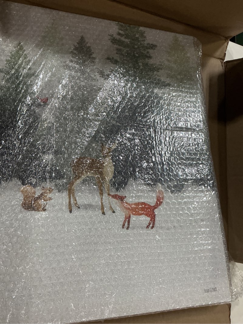 Condition photo showing New/Like New for stupell industries winter season forest animals fox deer squirrel, design by house fenway canvas wall art, 16x20, off- white 20"l x 16"w