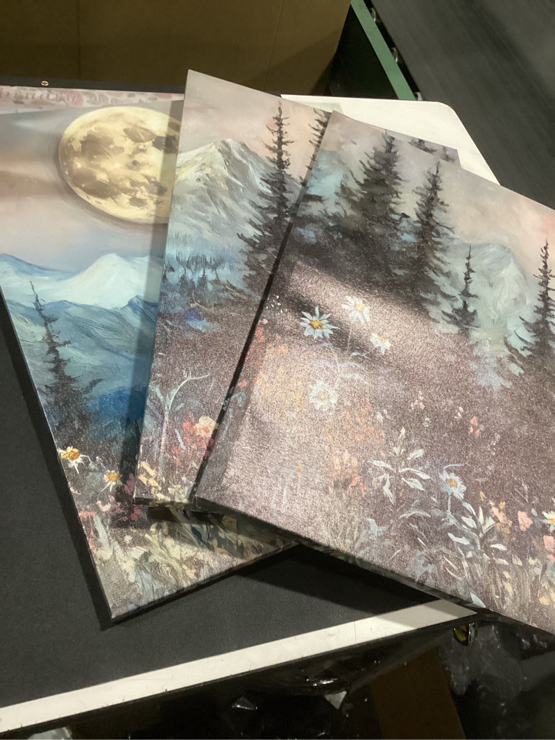 3Pcs Full Moon Forest Canvas Wall Art Moody Dark Forest Moonlit Pine Tree Mountains Wildflowers Wall