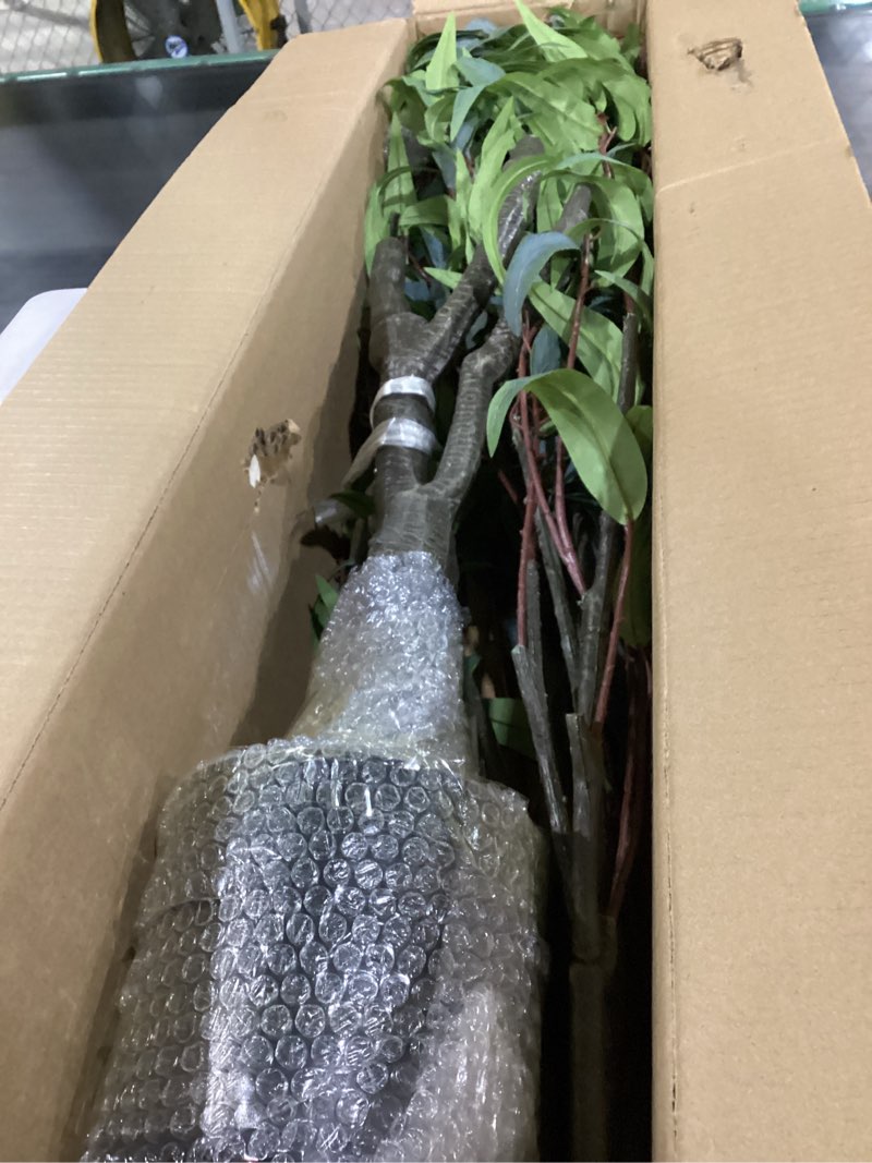 Condition photo showing New/Like New for Artificial Eucalyptus Tree 7ft(84in) Faux Floor Potted Tree for Indoor Decor Large Realistic Trees Plants with Silk Leaves and Natural Wood Trunk for Home Living Room,Office Foyer Decor. Eucalyptus Tree(2) 7ft