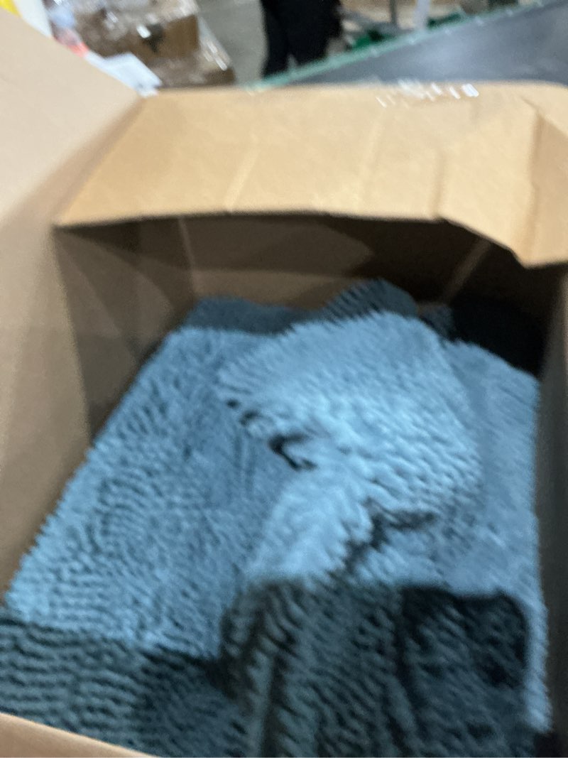 Condition photo showing Good Condition for olanly dog door mat for muddy paws 70x46, absorbs moisture and dirt, absorbent non-slip washable doormat, quick dry chenille mud mat for dogs, entry indoor entryway carpet for inside floor, airy blue airy blue solid 70" x 46"