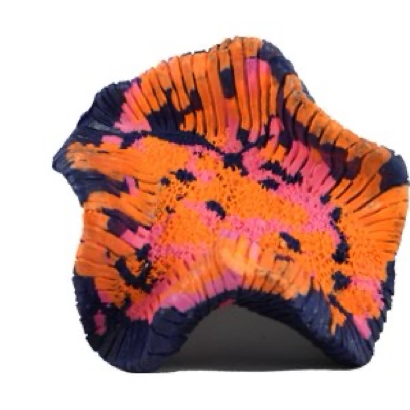 (Lot of 6)Pet Brain Corral Reptile Ornament