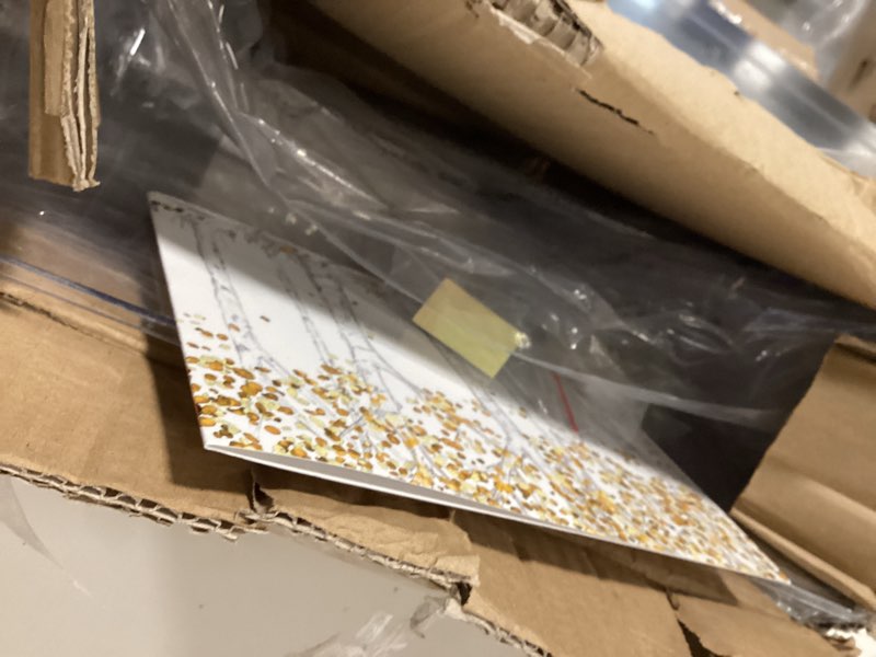 Condition photo showing Good Condition for 6 Pack Clear Acrylic Single Pocket, Plastic Hanging Wall Mount File Holder for Office Home, Clear Clear pack6