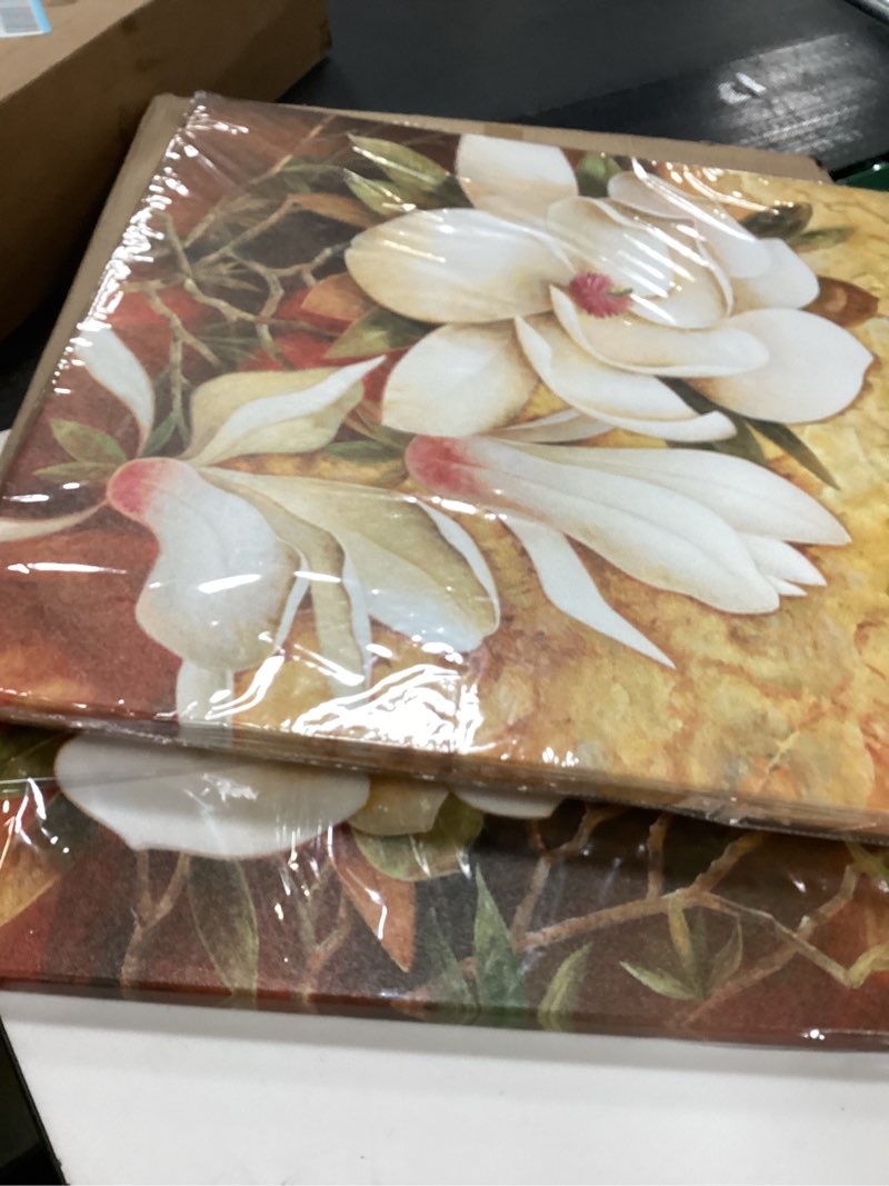 Condition photo showing Good Condition for Pyradecor Magnolia Flowers Large Modern 2 Panels Gallery Wrapped Floral Giclee Canvas Prints Oil Paintings Artwork Style Brown Pictures on Canvas Wall art for Living Room Bedroom Home Decorations L 60x60cmx2pcs (24x24inchx2pcs)