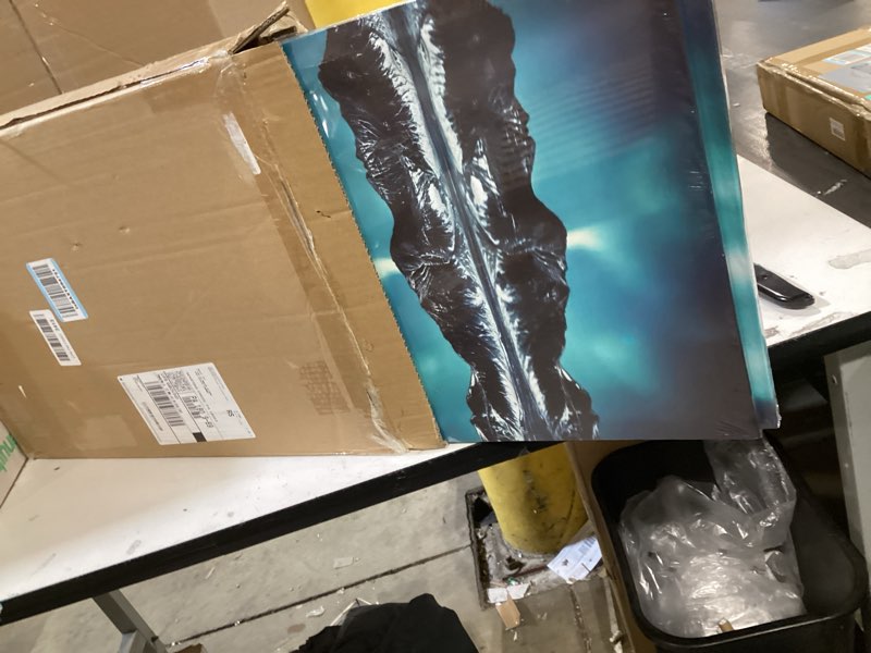 Condition photo showing Good Condition for eahunt northern lights canvas wall art for living room bedroom mountain lake landscape night sky poster aurora borealis prints alaska wall picture home decor 16×24×2 piecel set ready to hang aurora 16"24"×2