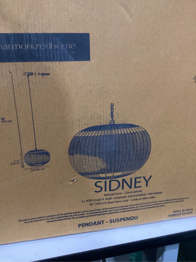 Natural cane light fixture, basket woven