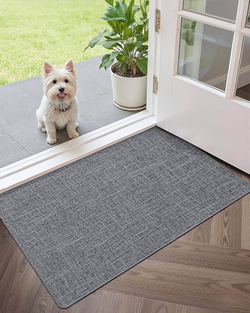 Color&Geometry Ultra Thin Indoor Door Mat (Rolled-up NO Creases) 36"x60", Non Slip Rubber Backed Dir