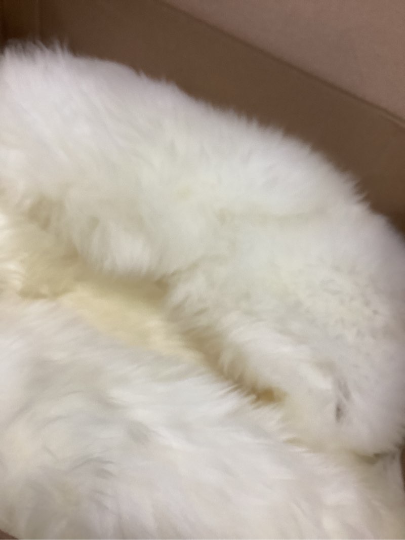 Condition photo showing Good Condition for Ashler Faux Fur Rug, White Area Rugs, Fluffy Sheepskin Fur Rug, Fuzzy Ultra Soft 2 x 6 Ft Rugs, Machine Washable Shag Rug, Nursery Throw Rugs for Bed, Living, Kids Room 6' x 2' (Irregular) C-white