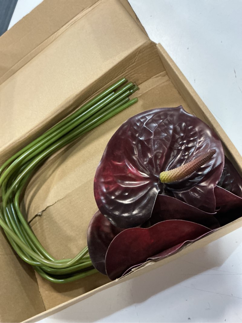 Condition photo showing New/Like New for 8pcs artificial anthurium flowers lifelike fake flower 5.5" head for table centerpieces bridal wedding festival christmas hotel home floral decor (burgundy)