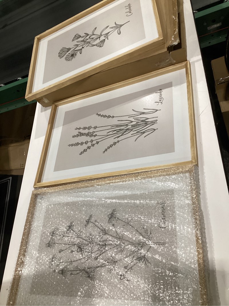 Condition photo showing Good Condition for TQianJiang Vintage Botanical Wall Art 24"x16" Set Of 3 Wood Framed Wildflower Pictures Wall Decor for Bedroom Minimalist Wall Hanging (Wood) 24"L x 16"W Vintage Botanical(Wood)