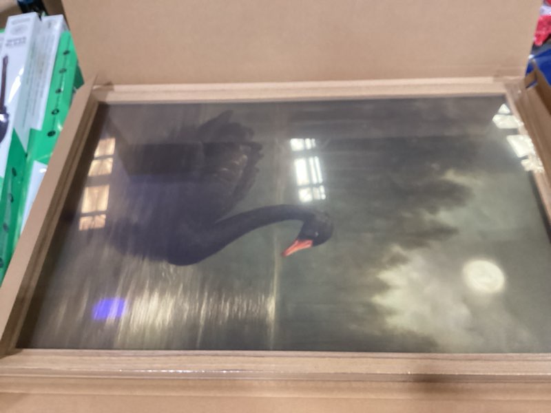 Condition photo showing New/Like New for wood framed black swan wall art, vintage antique swan animal canvas wall decor paintings, dark moody gothic rustic farmhouse posters prints pictures for living room bedroom 16x24 inch black swan framed 24"l x 16"w