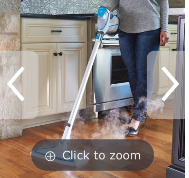 The Surface Sanitizing Steam Mop