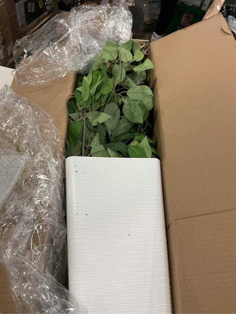 Condition photo showing Good Condition for 5ft Artificial Ficus Tree,Tall Faux Tree with Pebbles & Planter UV Resistant Potted Fake Plant with Silk Leaves & Real Wood Trunk,Indoor Outdoor Floor Plant for Home,Living Room,VN129 White 5ft