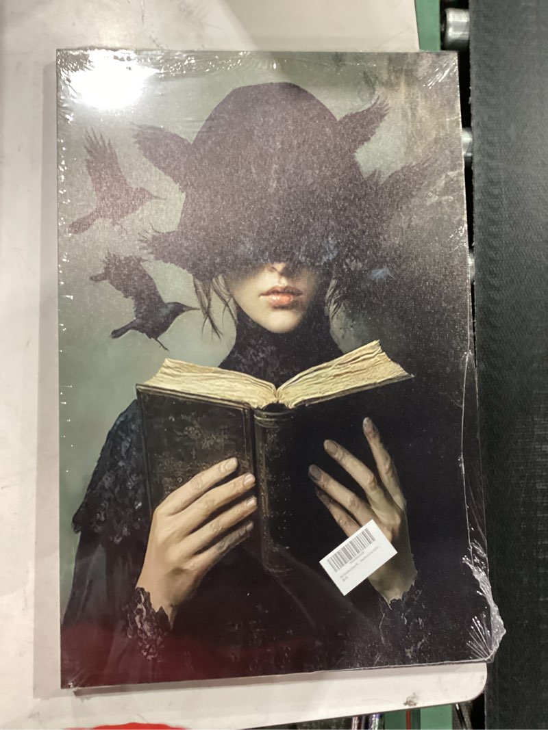 Dark Academia Canvas Wall Art Gothic Victorian Woman Reading Book Wall Decor Picture Moody Dark Crow