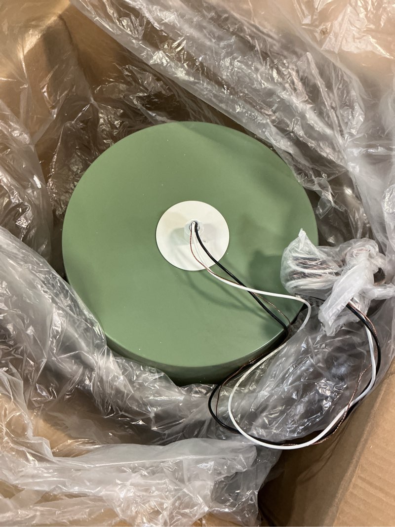 Condition photo showing Good Condition for wegner pendant luminaire suspendu colgante  vert alom tremble