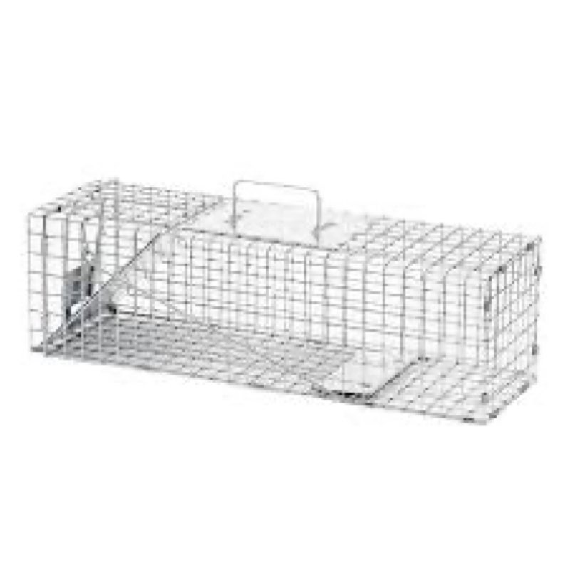havahart medium 1-door humane catch and release animal trap for rabbit, skunk, mink, and squirrel - 